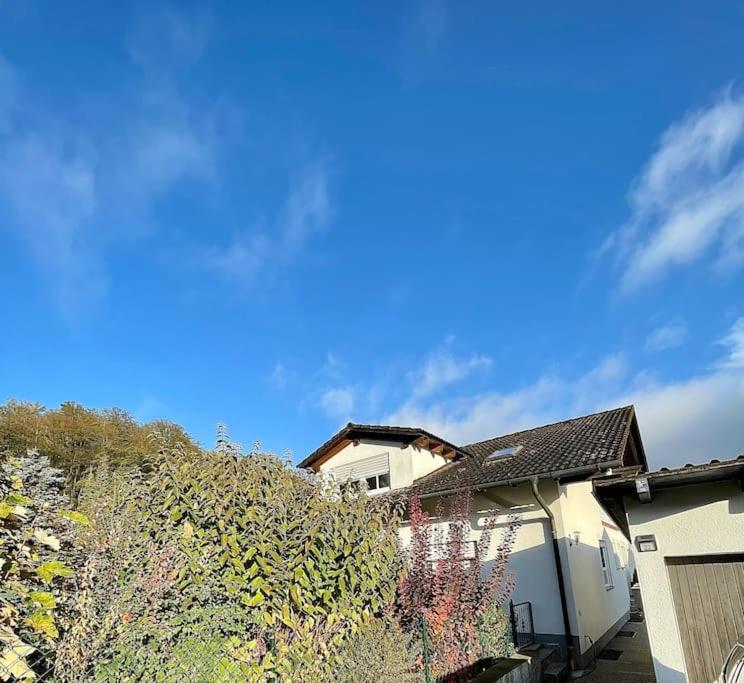 Modernes Apartment Mit Top Ausstattung Und Kamin Im Oberpfaelzer Seenland Nittenau Esterno foto